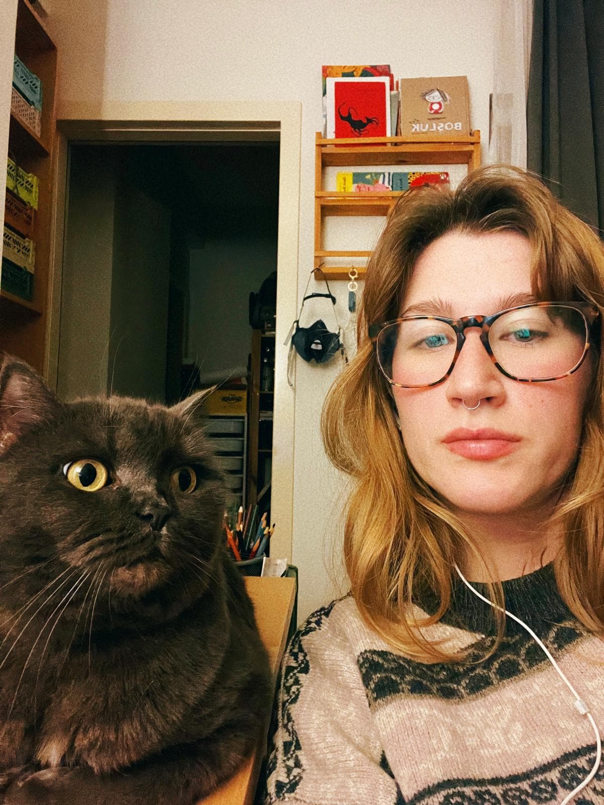Miyu kedi fotoğrafı 4